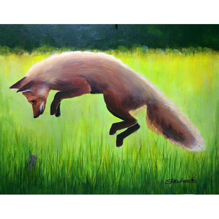 Fox Jumping  