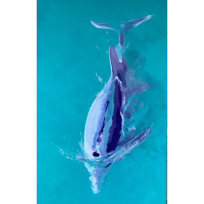Dolphin
