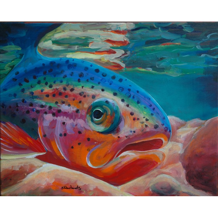 Rainbow Trout